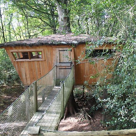 Les Ecolodges De L'Orbiere Forcé Zewnętrze zdjęcie