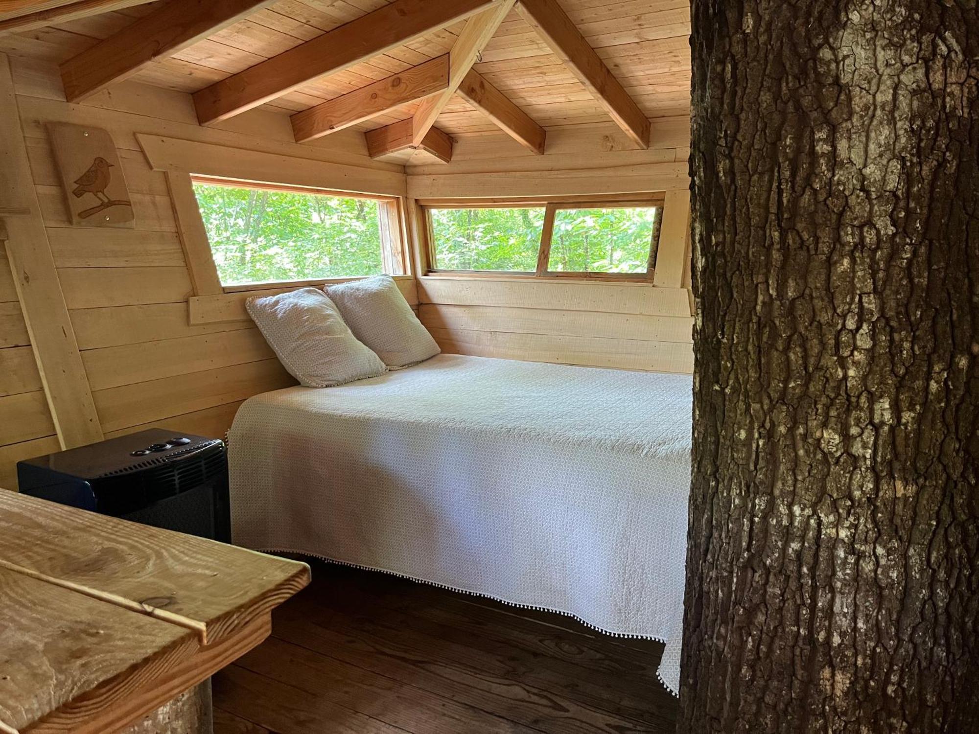 Les Ecolodges De L'Orbiere Forcé Zewnętrze zdjęcie