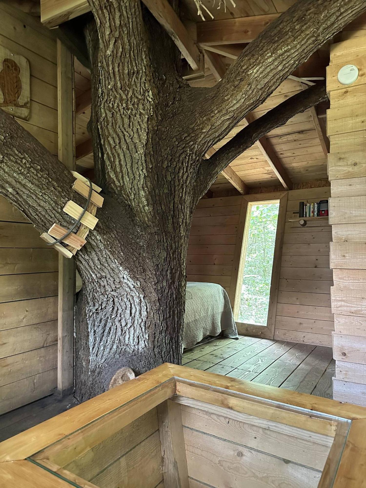 Les Ecolodges De L'Orbiere Forcé Zewnętrze zdjęcie