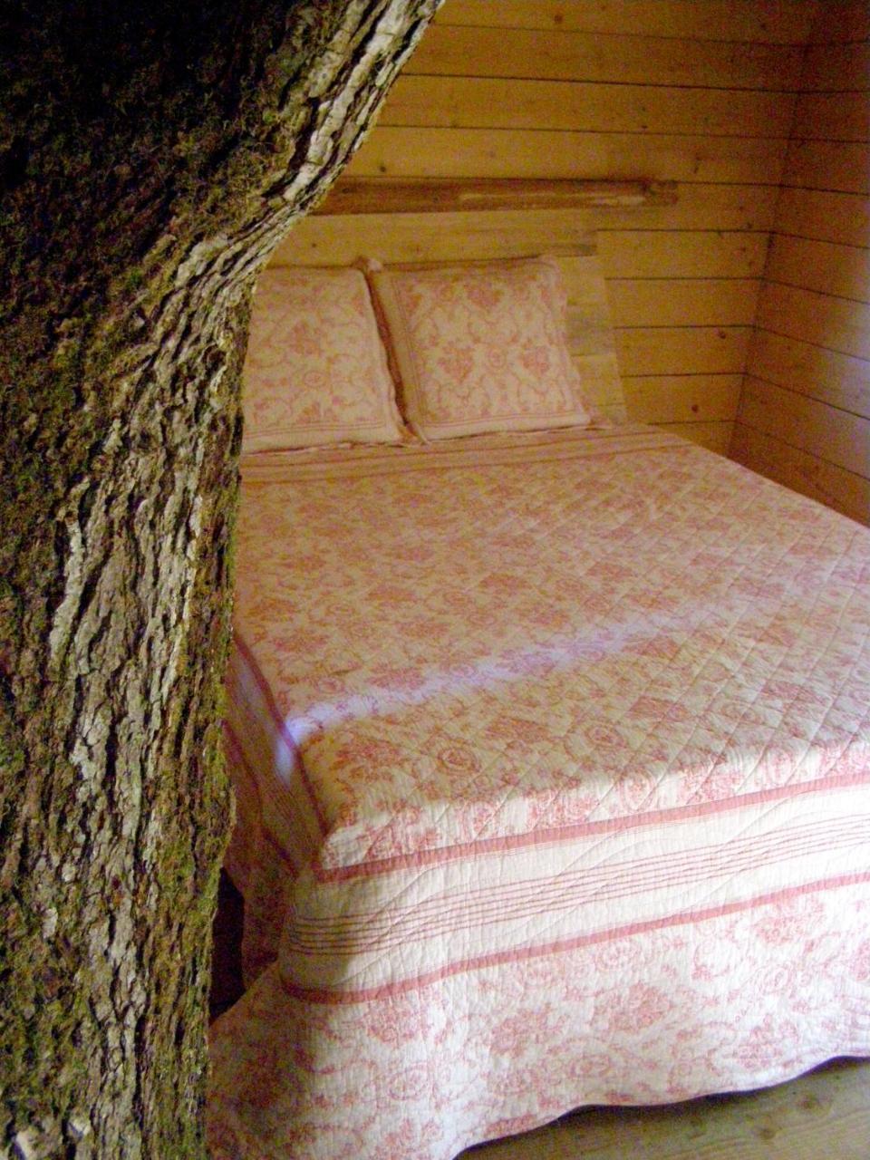 Les Ecolodges De L'Orbiere Forcé Zewnętrze zdjęcie