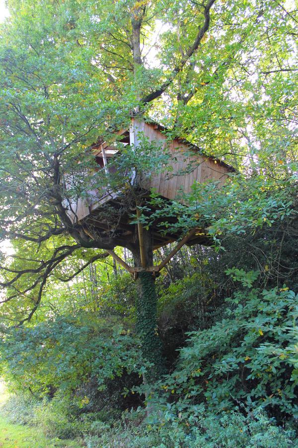 Les Ecolodges De L'Orbiere Forcé Zewnętrze zdjęcie