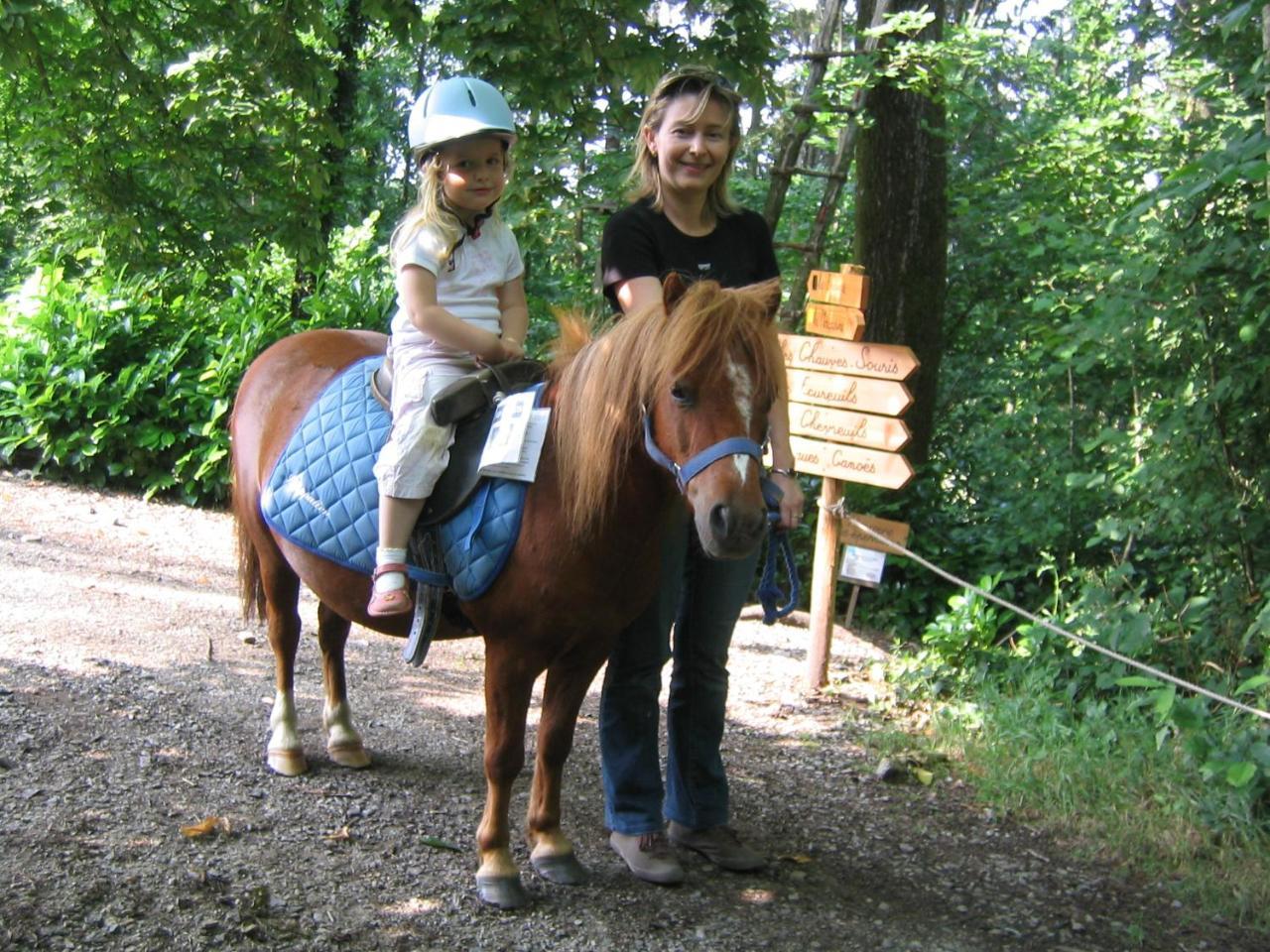Les Ecolodges De L'Orbiere Forcé Zewnętrze zdjęcie